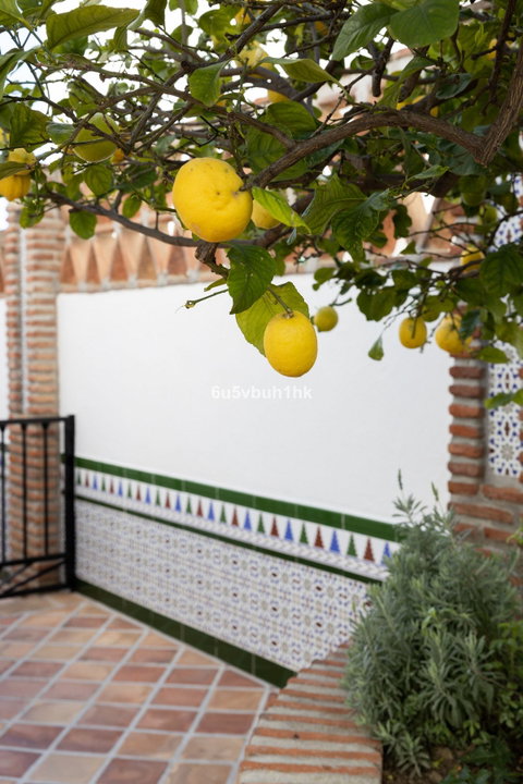 Detached Villa in Mijas, Costa del Sol – 4 beds – 995000 € - photo 24 of 50