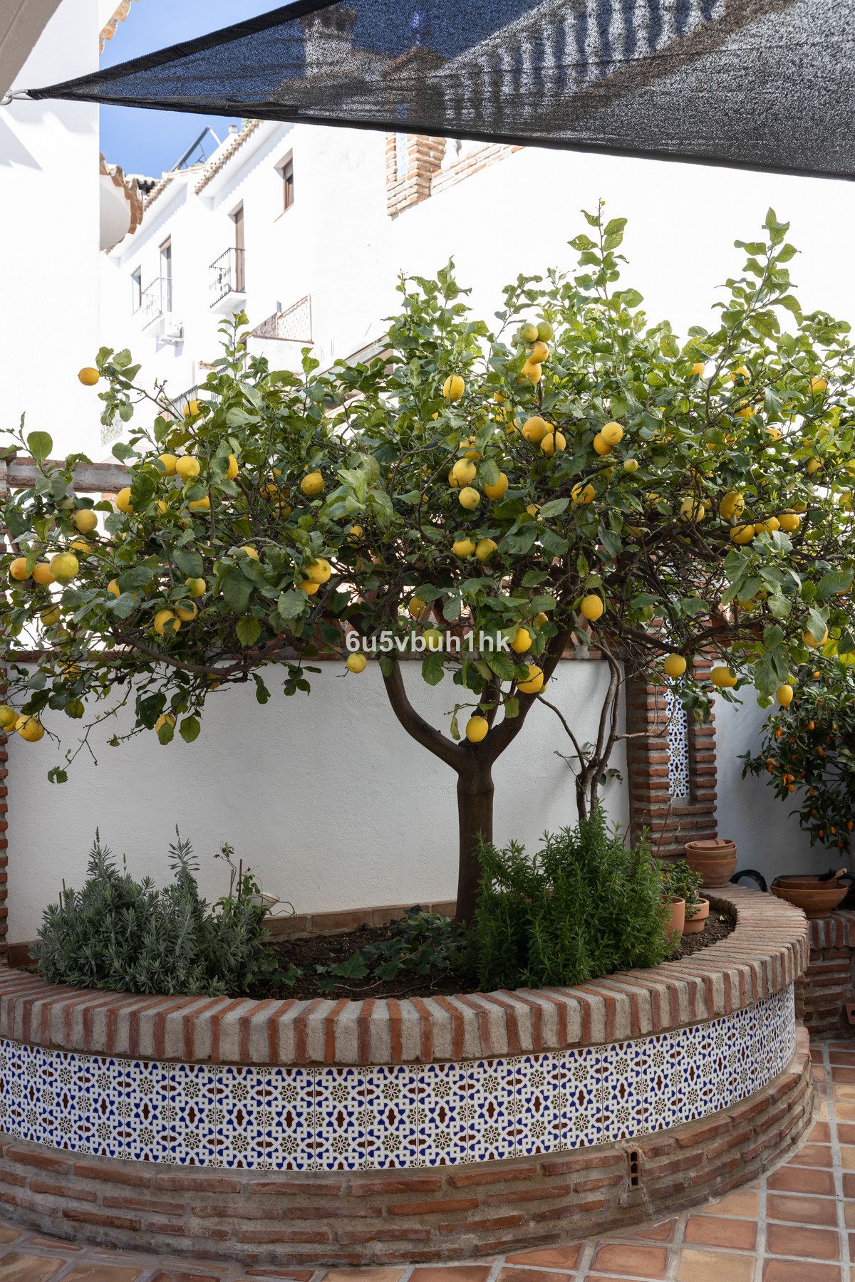 Detached Villa in Mijas, Costa del Sol – 4 beds – 995000 € - photo 41 of 50