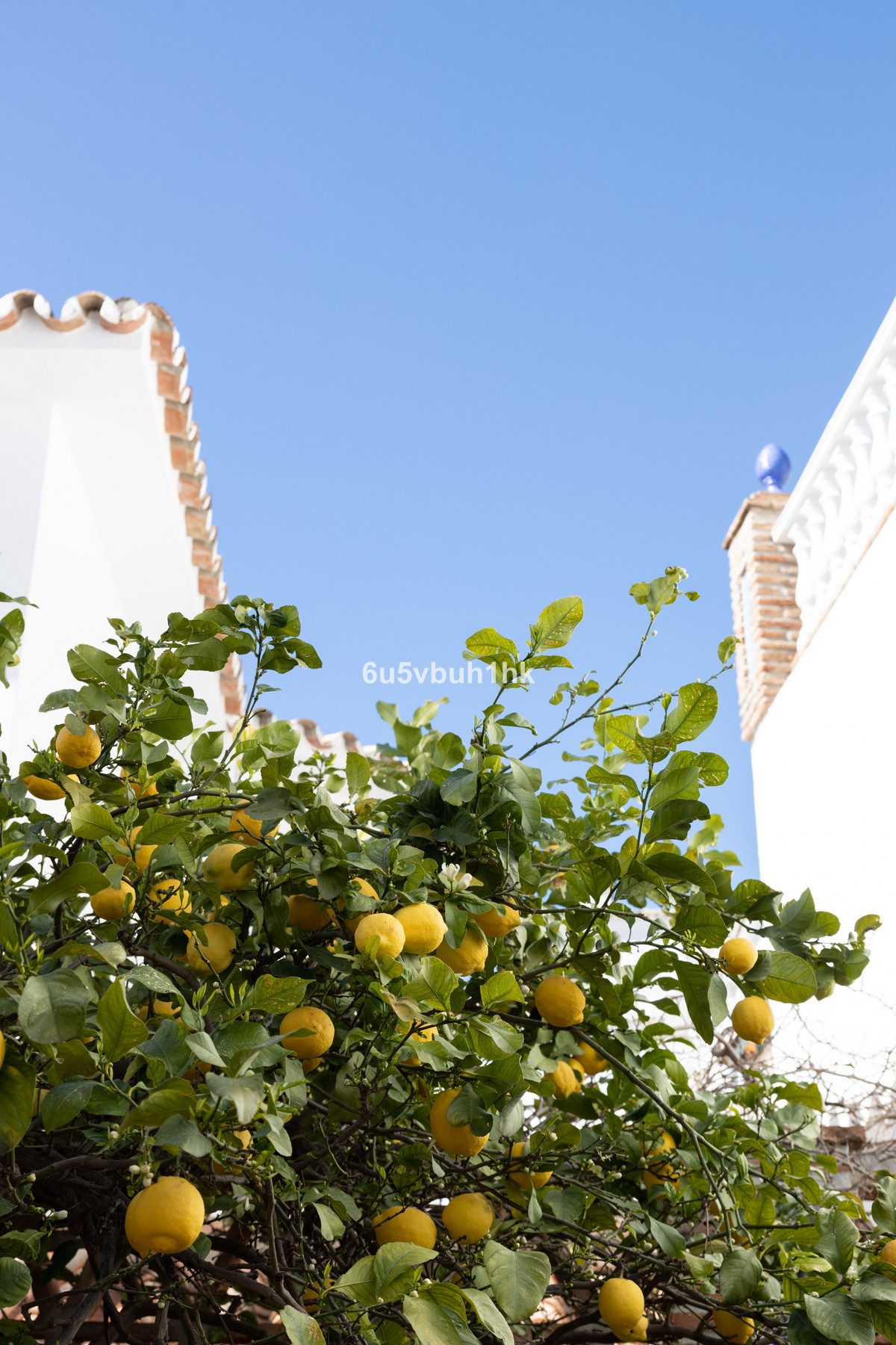 Detached Villa in Mijas, Costa del Sol – 4 beds – 995000 € - photo 43 of 50