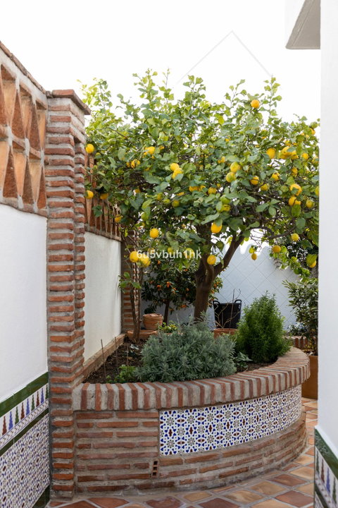 Detached Villa in Mijas, Costa del Sol – 4 beds – 995000 € - photo 49 of 50