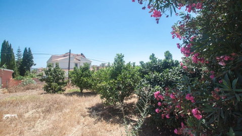 Detached Villa in Estepona, Costa del Sol – 4 beds – 2400000 € - photo 22 of 29