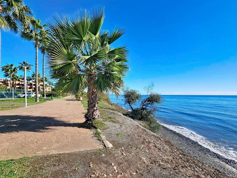 Ground Floor Apartment in Estepona, Costa del Sol – 3 beds – 1200000 € - photo 26 of 40