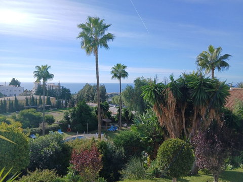 Ground Floor Apartment in Mijas, Costa del Sol – 2 beds – 423000 € - photo 39 of 42