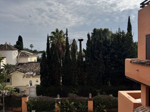 Middle Floor Apartment in Estepona, Cancelada – 2 beds – 295000 € - photo 36 of 90