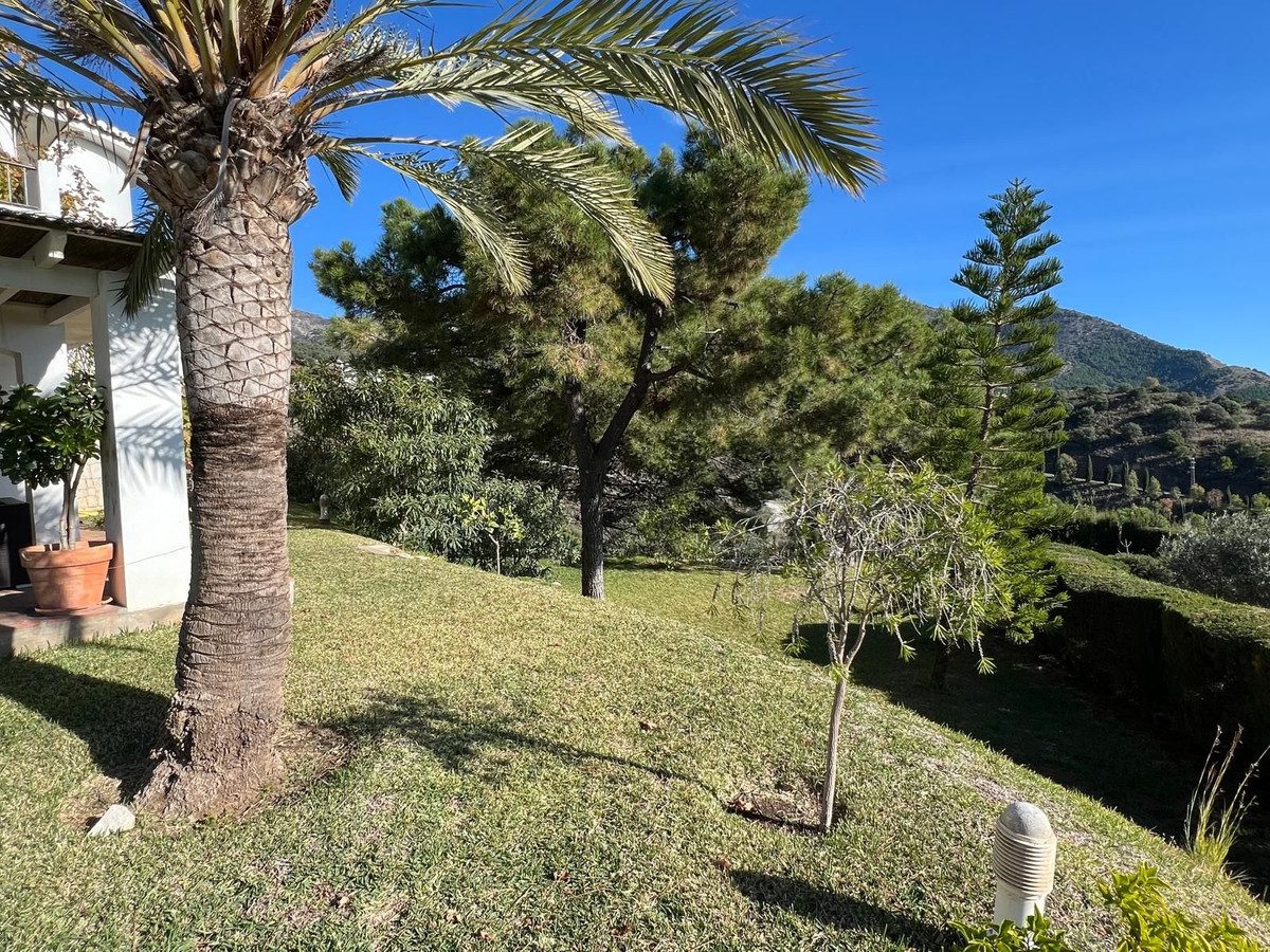 Detached Villa in Mijas, Costa del Sol – 4 beds – 1550000 € - photo 8 of 31