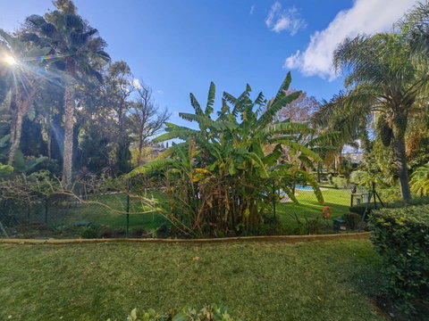 Ground Floor Apartment in Marbella, Costa del Sol – 3 beds – 449000 € - photo 19 of 38