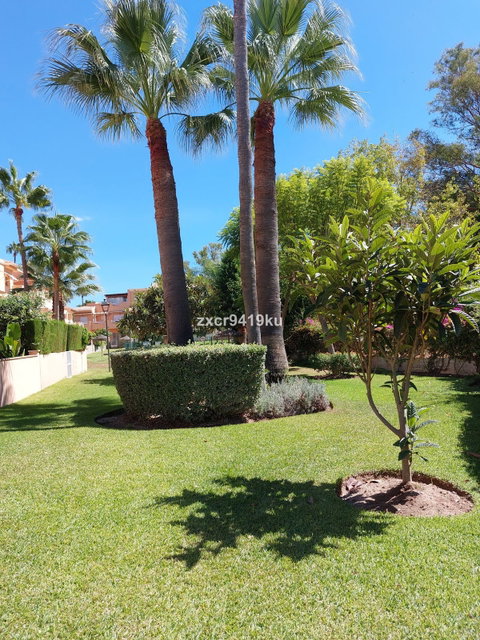 Ground Floor Apartment in Marbella, Costa del Sol – 3 beds – 525000 € - photo 17 of 22