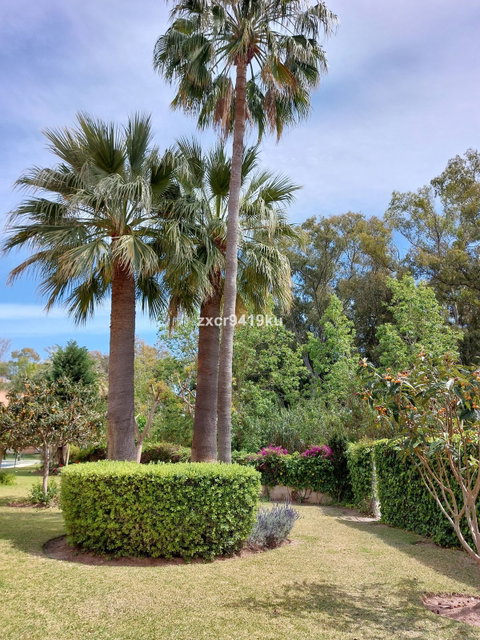 Ground Floor Apartment in Marbella, Costa del Sol – 3 beds – 525000 € - photo 20 of 22