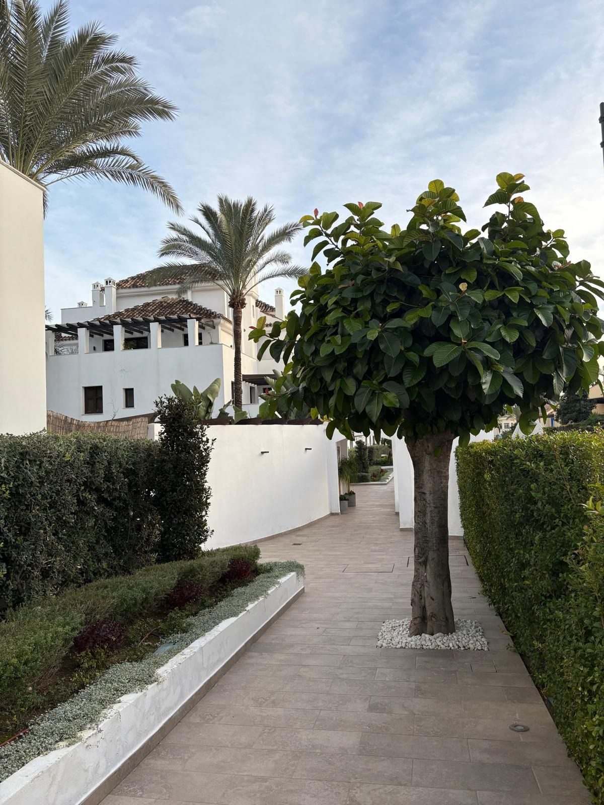 Ground Floor Apartment in Marbella, Costa del Sol – 2 beds – 645000 € - photo 29 of 34
